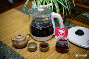 无人值守的烹煮良品 木木羊防溢养生壶使用体验