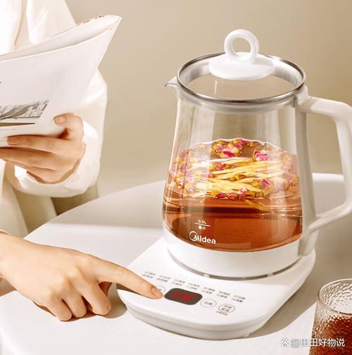 烧水壶品牌哪个最好耐用?2026年推荐3款超高性价比养生壶!