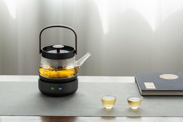 智蔚玻璃烧水壶纯钛煮茶壶陈皮白茶专用家用办公养生壶煮茶器新款